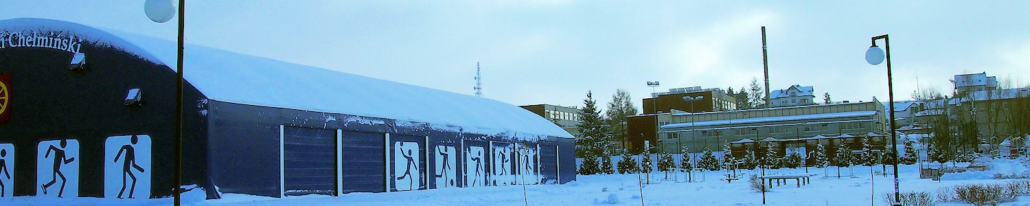 Gmina Radzyń Chełmiński
